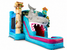 Front Left View of 4in1 Atlantis Underwater Adventure Combo Wet/Dry