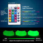 LED Curved Bench - HullaBalloo Sales